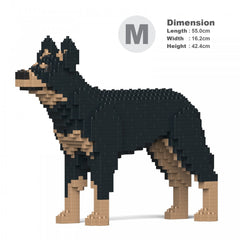 Australian Kelpie