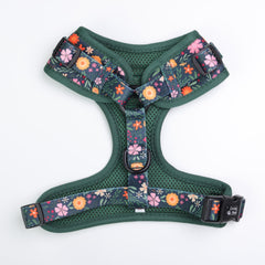 Chester Floral Adjustable Dog Harness