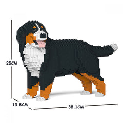 Bernese Mountain Dog