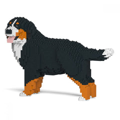 Bernese Mountain Dog