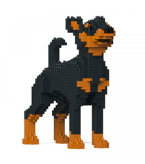 Miniature Pinscher