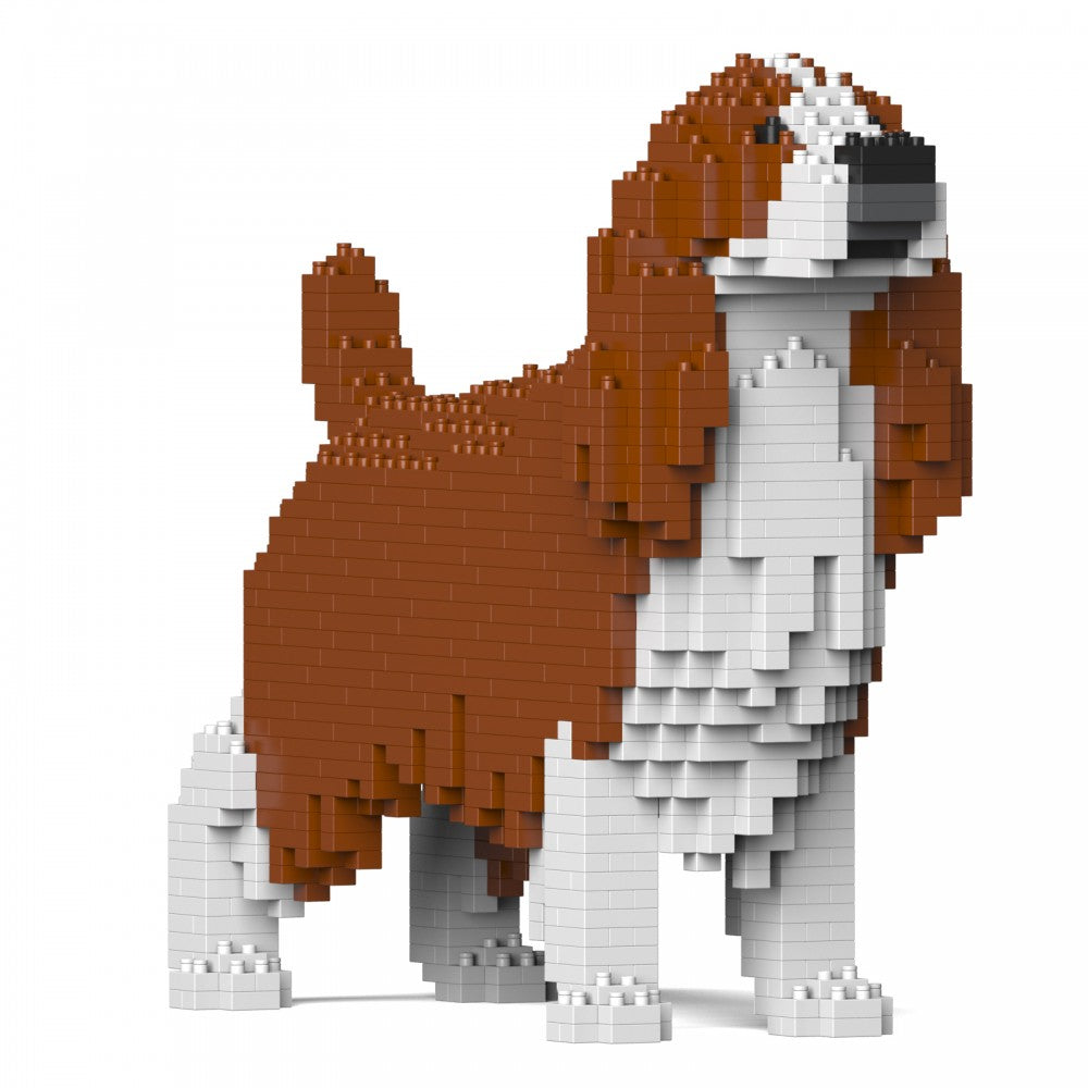 English Springer Spaniel