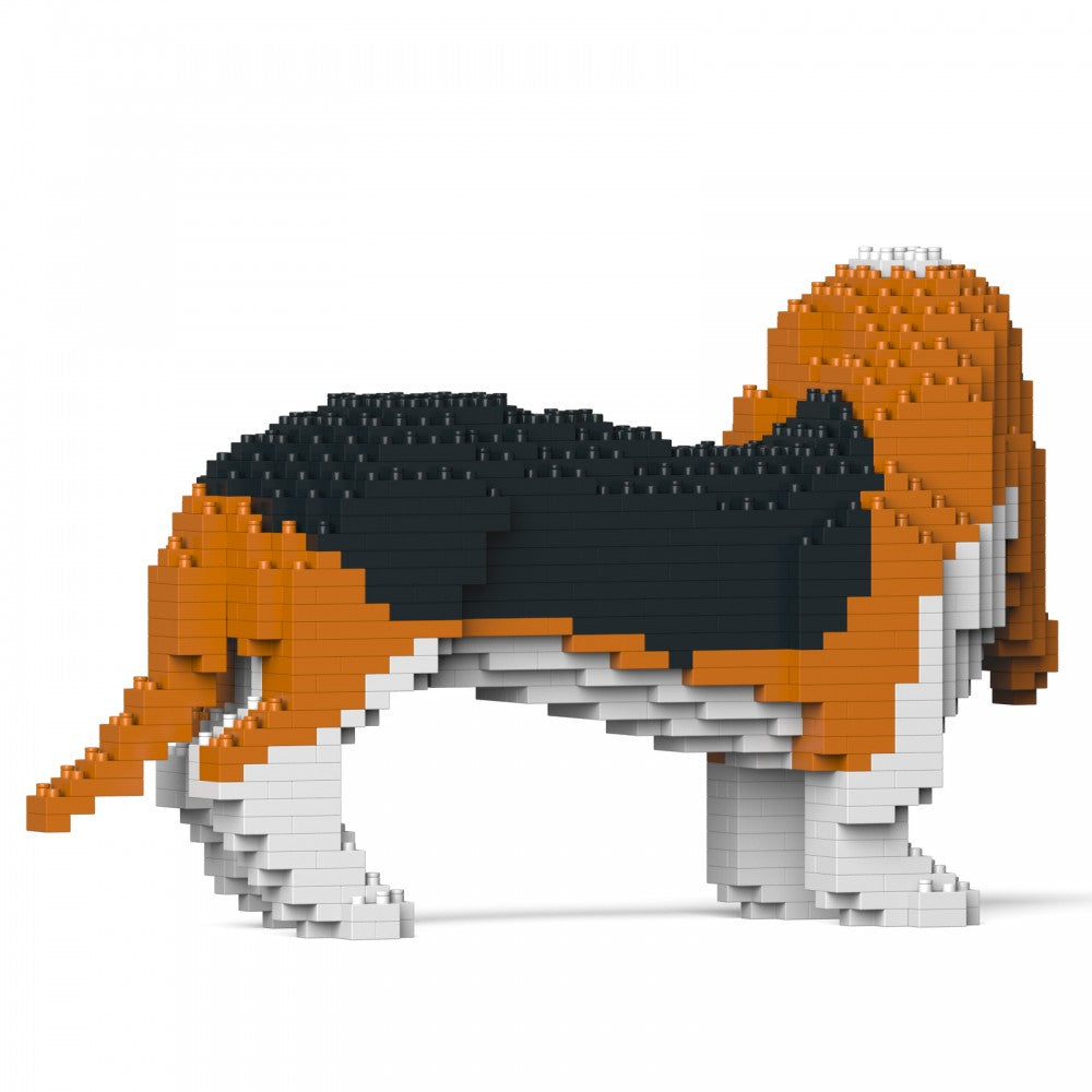 Basset Hound