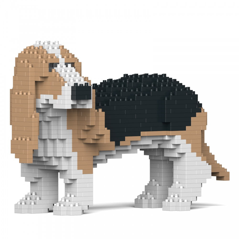 Basset Hound