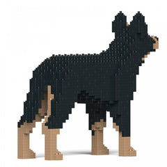 Australian Kelpie