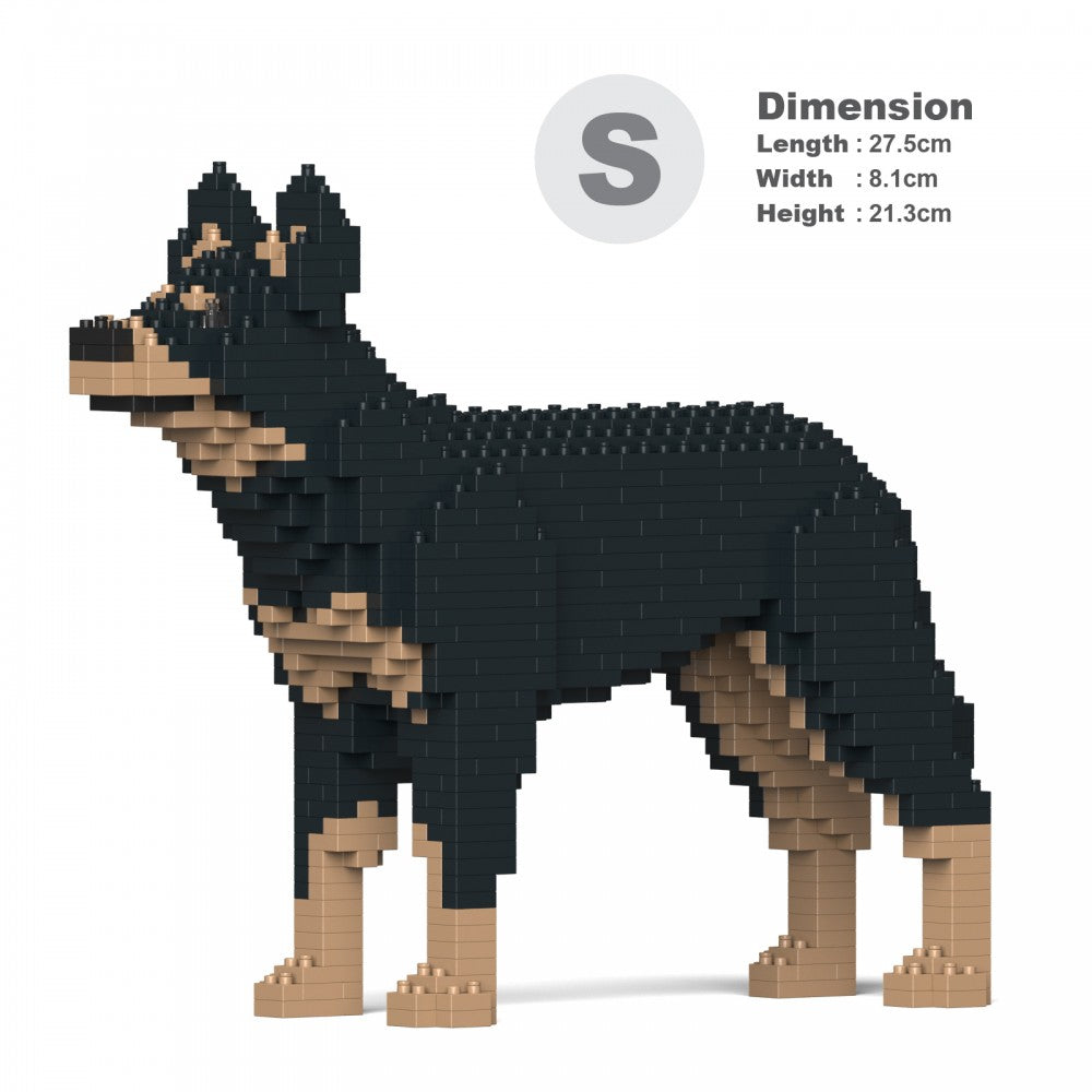 Australian Kelpie