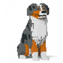 Australian Shepherd