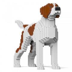 English Pointer