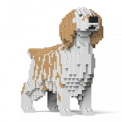 English Setter