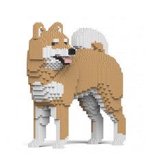 Shiba Inu