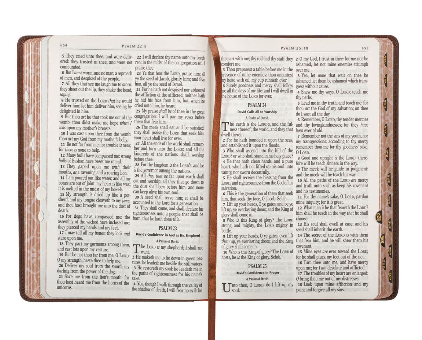 Bible-Lion Brown Faux Leather Kid's King James Version Bible