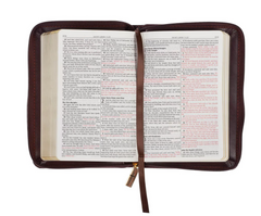 Bible-Burgundy and Bible-Saddle Tan Framed Faux Leather Compact King James Version Bible with Zippered Closure