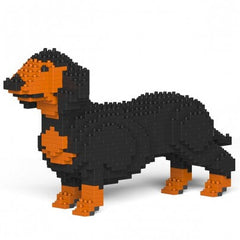 Dachshund