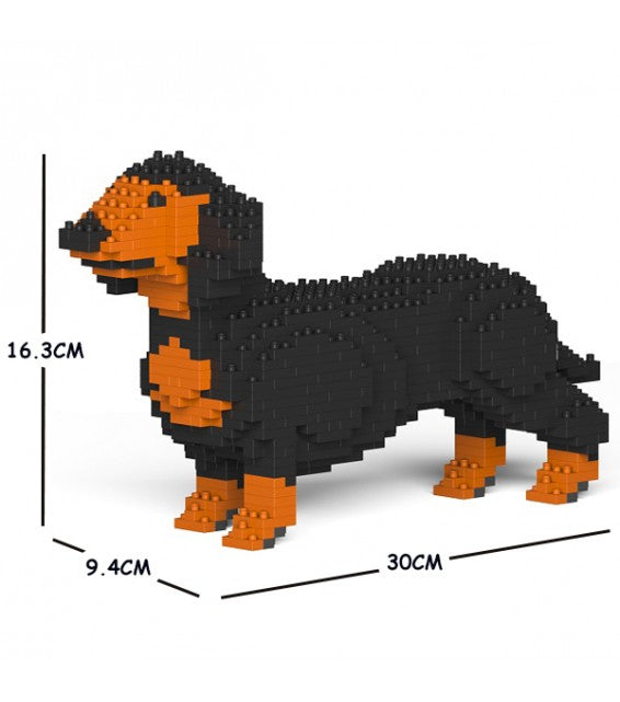 Dachshund