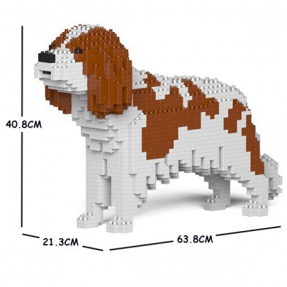 King Charles Cavalier