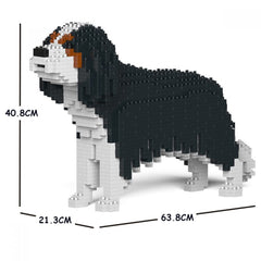 King Charles Cavalier